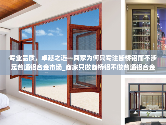 专业品质，卓越之选—商家为何只专注断桥铝而不涉足普通铝合金市场_商家只做断桥铝不做普通铝合金