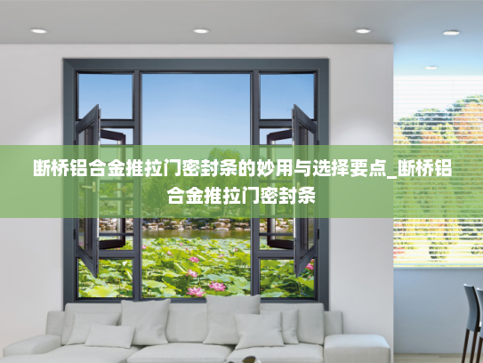 断桥铝合金推拉门密封条的妙用与选择要点_断桥铝合金推拉门密封条