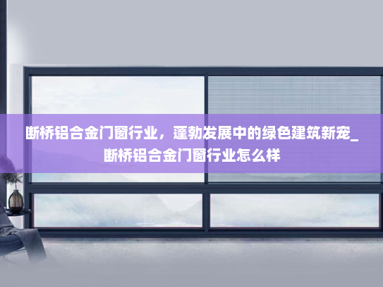 断桥铝合金门窗行业，蓬勃发展中的绿色建筑新宠_断桥铝合金门窗行业怎么样