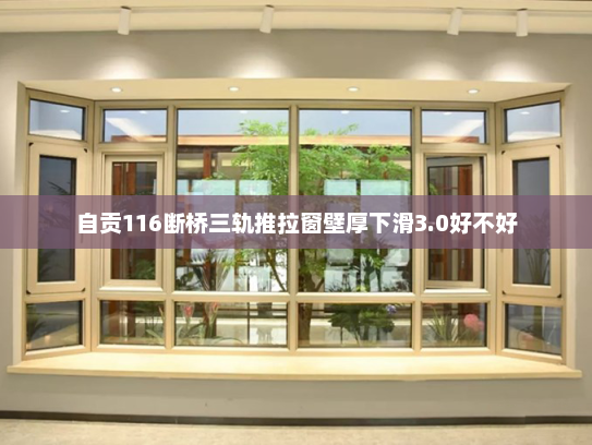 自贡116断桥三轨推拉窗壁厚下滑3.0好不好