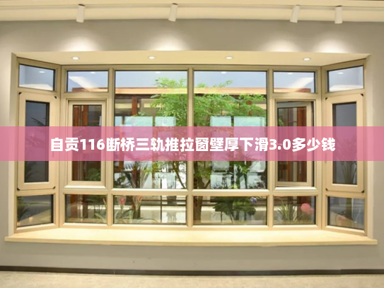 自贡116断桥三轨推拉窗壁厚下滑3.0多少钱