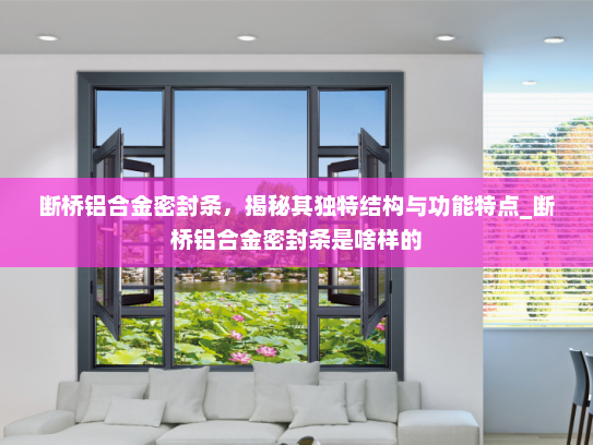 断桥铝合金密封条，揭秘其独特结构与功能特点_断桥铝合金密封条是啥样的