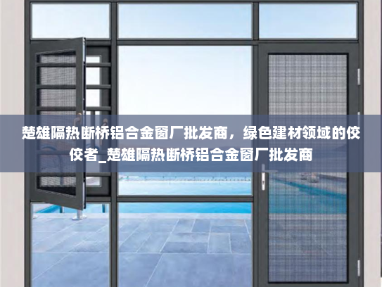 楚雄隔热断桥铝合金窗厂批发商，绿色建材领域的佼佼者_楚雄隔热断桥铝合金窗厂批发商
