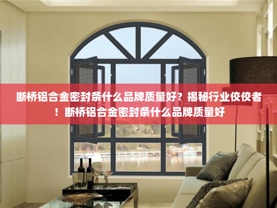 断桥铝合金密封条什么品牌质量好？揭秘行业佼佼者！断桥铝合金密封条什么品牌质量好