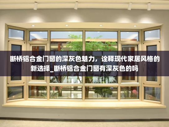 断桥铝合金门窗的深灰色魅力，诠释现代家居风格的新选择_断桥铝合金门窗有深灰色的吗
