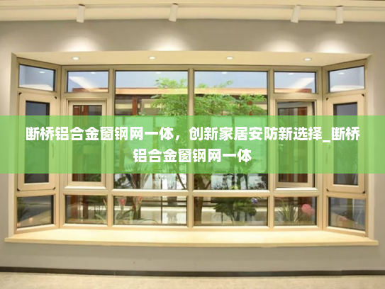 断桥铝合金窗钢网一体，创新家居安防新选择_断桥铝合金窗钢网一体